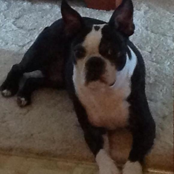 Meet your Posher, Beth - Picture 1 of 1